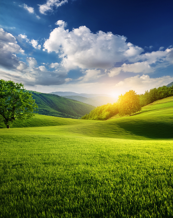 envir_pic Environmental Commitment